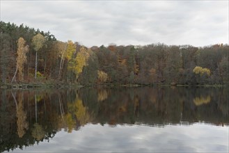 A lake in the forest with autumnal foliage colouring. Germany