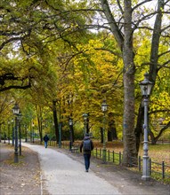 Cyclists and pedestrians in Berlin Tiergarten