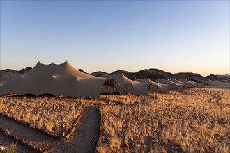 Desert Hills tented camp