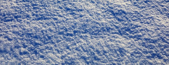 Snow cover with ice crystals on a snow-covered meadow