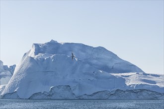 Huge iceberg in the UNESCO World Heritage Ilulissat Icefjord seen from a boat. Ilulissat
