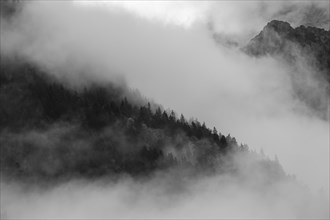Wisps of mist at Koenigssee