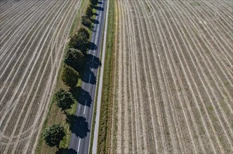 Drone view of a tree-lined road between harvested fields
