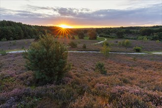 Brunssumer Heide