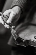 Senior expert violin maker luthier