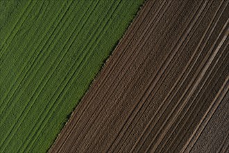 Drone view of green and ploughed fields