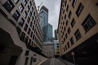 Cityscape on the Main with the skyline in the evening