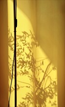 Part of a floor lamp and the shadow of a balcony plant behind a yellow curtain