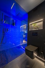 Modern Luxury Bathroom with Beautiful Design in Apartment in Switzerland