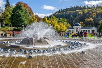 Singing fountain in autumn spa park