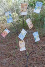Euro banknotes hanging from a tree branch in the countryside