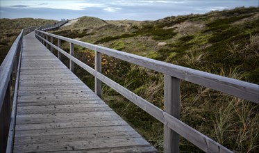 Wooden walkway through the dunes to the sea