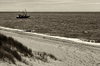 Fishing boat in front of a dune