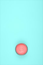 Overhead view coral paint turquoise green background