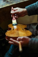 Senior expert violin maker luthier
