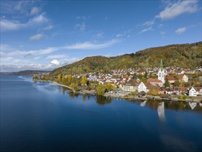 Aerial view of the village of Sipplingen on Lake Constance with autumn vegetation