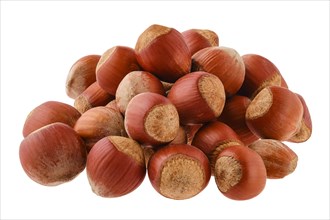 Heap of unpeeled hazelnut in a shell isolated on white background