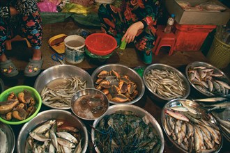 Overhead view of two vendor selling fresh seafood in the local traditional Samaki wet market in Kampot Cambodia
