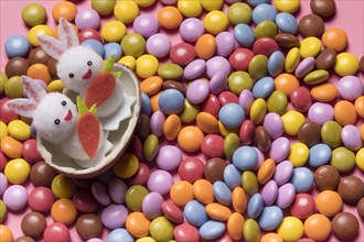 Cute two bunnies inside broken easter egg colorful gem candies