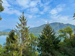 Panoramic View with Tree Top over Lake Lugano and Mountain with Blue Sky and Clouds in Sunny Day in Caslano