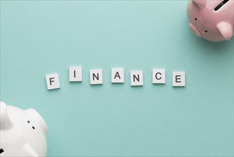 Finance word with piggy banks
