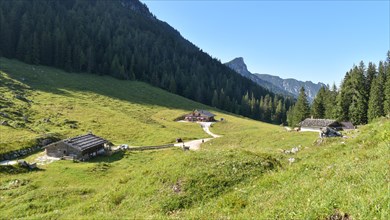 The alpine huts of the idyllically situated Mordaualm in the Lattengebirge