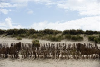 Dune landscape at Ellenbogen
