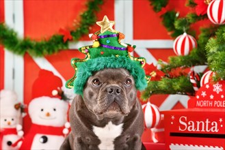 Cute French Bulldog dog wearing funny Christmas tree headband in front of seasonal decoration