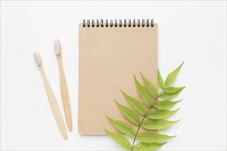 Notebook with tooth brush