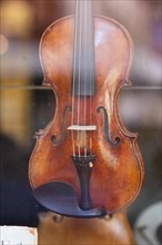 Violin inmaker luthier artisan workshop in Cremona