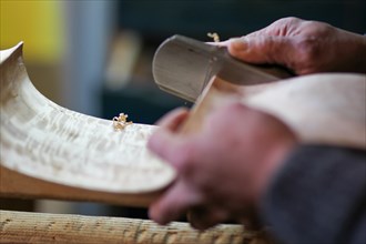 Luthier artisan violin maker carve sculpt chisel ribs of a new classical model cello in workshop Cremona Italy
