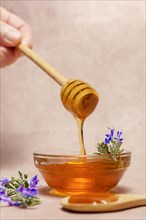 Woman holding a wooden spoon dripping honey over a glass bowl with fresh rosemary branches in bloom
