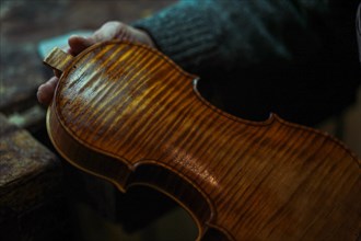 Senior luthier violin maker holding a fresh varnished instrument in his hands in Cremona