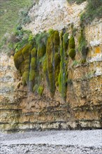 The weeping rock
