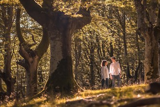 Wide view photo of a casual couple strolling along a green forest