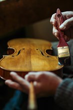 Senior expert violin maker luthier