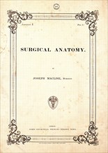 Surgical human anatomy