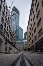 Cityscape on the Main with the skyline in the evening