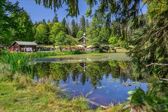 Schwellteich pond with the historic Trifterklause Schwellhaeusl inn in the Bavarian Forest National Park