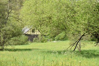 Extensively used meadows and historic mill in the valley of the Nahe tributary Kyrbach near Oberkirn in the Hunsrueck in summer