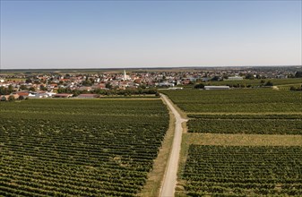Drone view of Deutschkreutz with vineyards