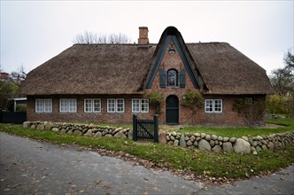 Frisian house with thatched roof