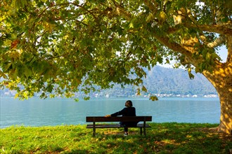 Woman Sitting on a Beautiful Bench Under a Tree with Mountain and Lake Lugano View in a Sunny Day in Lugano