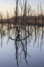 Moorland