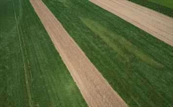 Drone view of green and harvested fields