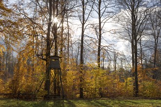 A hunting hide at the edge of a deciduous forest in autumnal colours. Germany