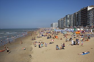 Sunbathers in summer sunbathing behind parasols and windbreaks on beach along the North Sea coast at Belgian seaside resort