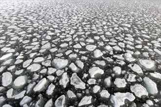 Drift ice