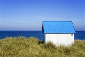 Wooden beach cabin with blue roof in the dunes at Gouville-sur-Mer