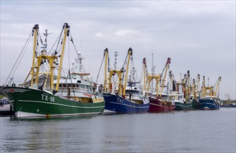 Trawler fishing boats in the harbour of Oudeschild